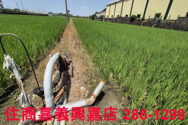 嘉義農地-3