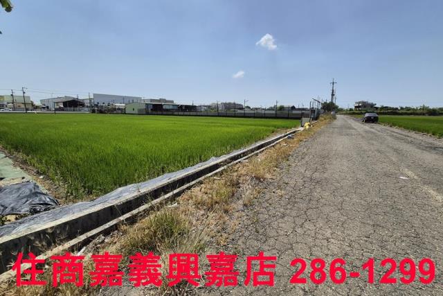 嘉義農地-6