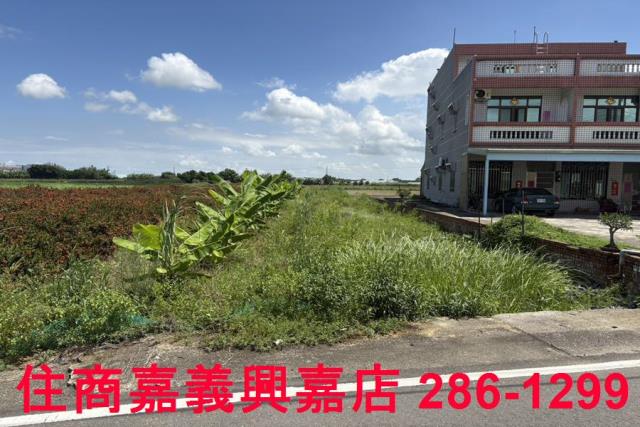 嘉義農地-1