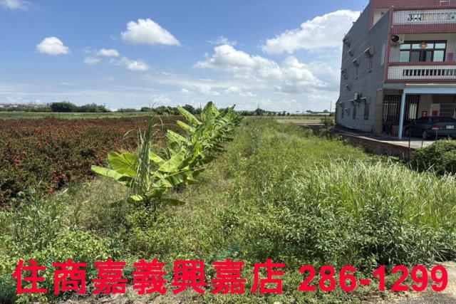 嘉義農地-2