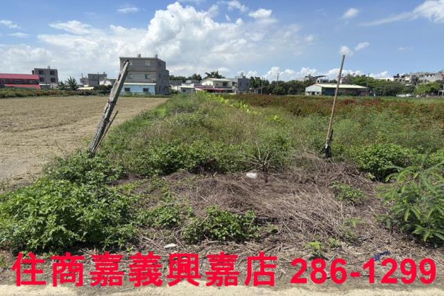 嘉義農地-4