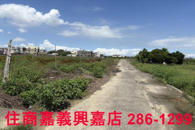 嘉義農地-6