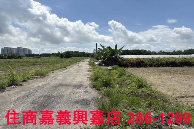 嘉義農地-7