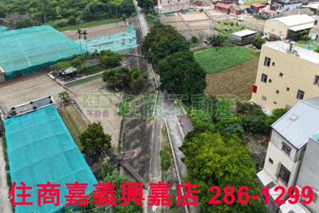 嘉義新港農地-1