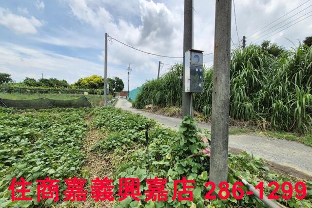 嘉義新港農地-5
