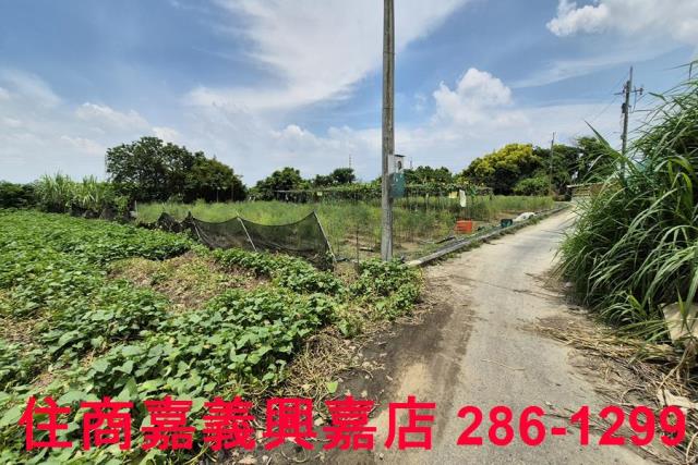 嘉義新港農地-7
