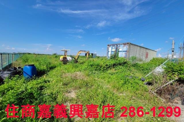 嘉義新港農地-4