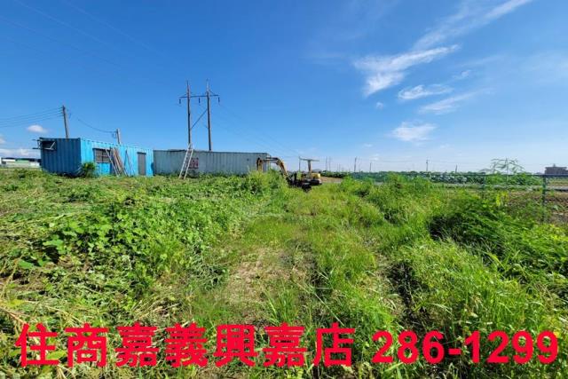 嘉義新港農地-5