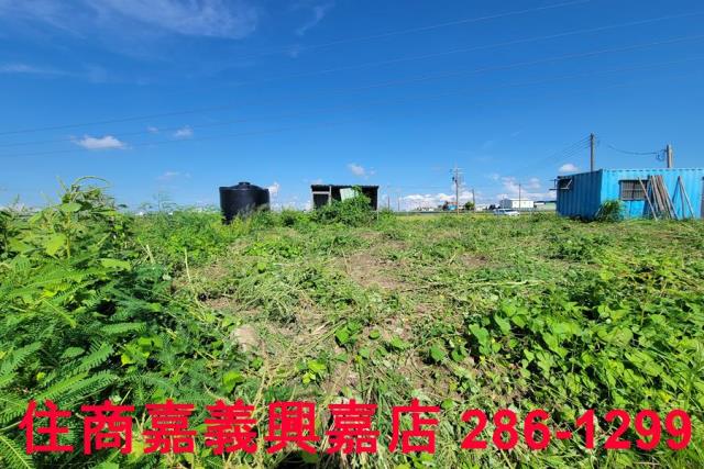 嘉義新港農地-7