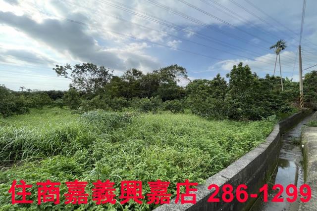 竹崎農地-10