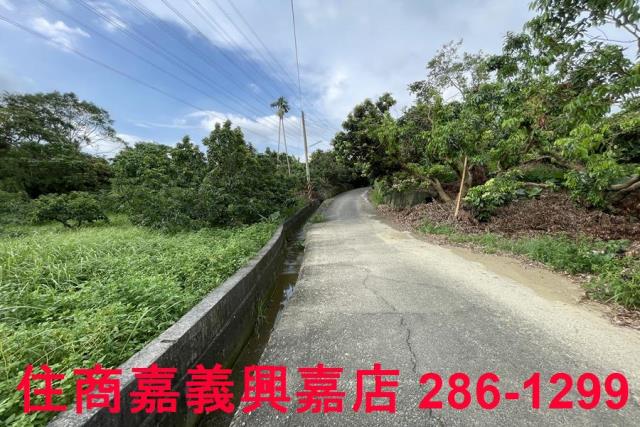 竹崎農地-11