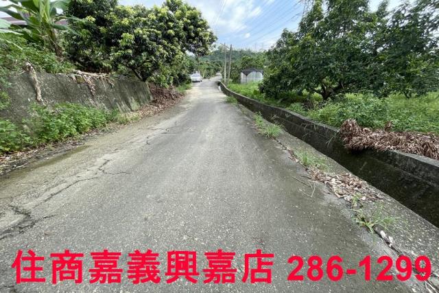 竹崎農地-1