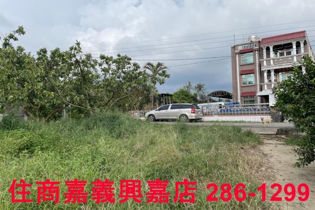 竹崎農地-2