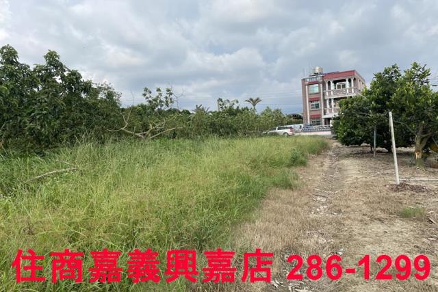竹崎農地-3