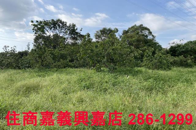 竹崎農地-5