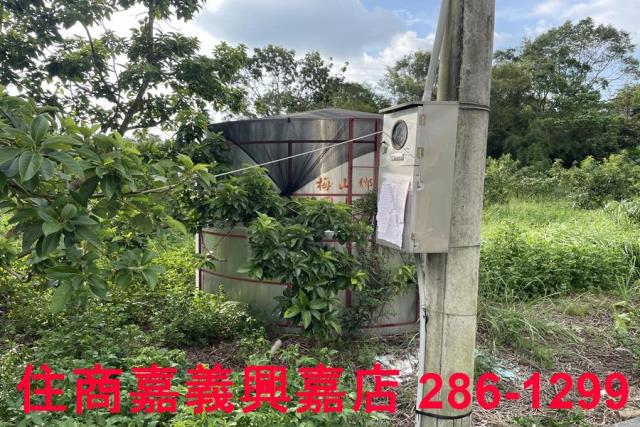 竹崎農地-7
