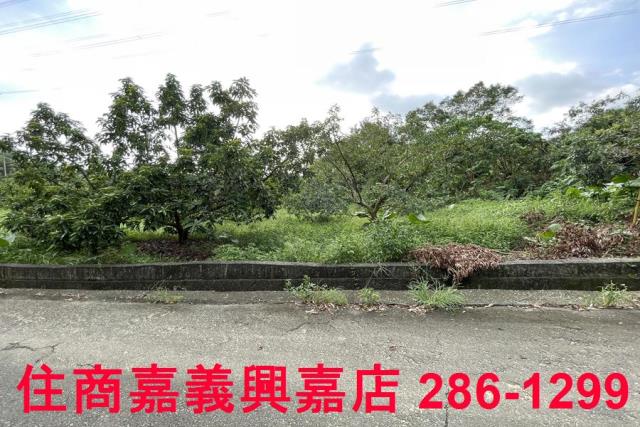 竹崎農地-8