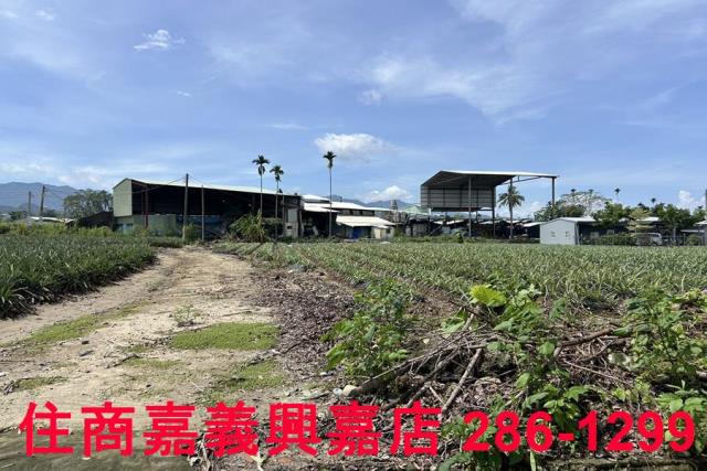 中埔農地-9