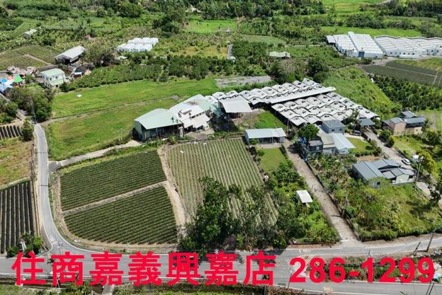 中埔農地-2
