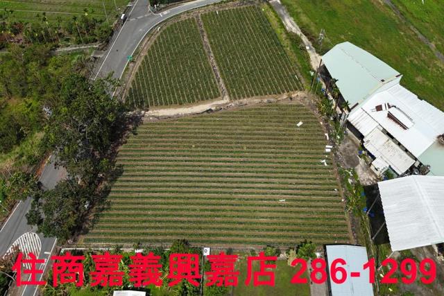 中埔農地-3