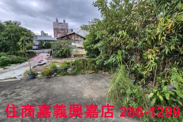 東區建地-8