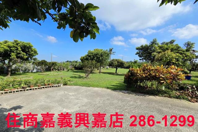 竹崎農地-9