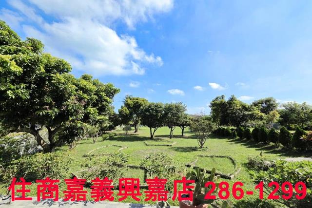 竹崎農地-10