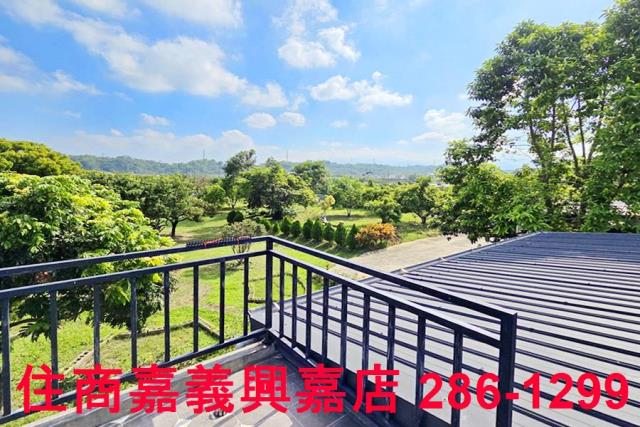 竹崎農地-5