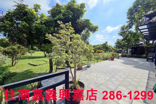 竹崎農地-6
