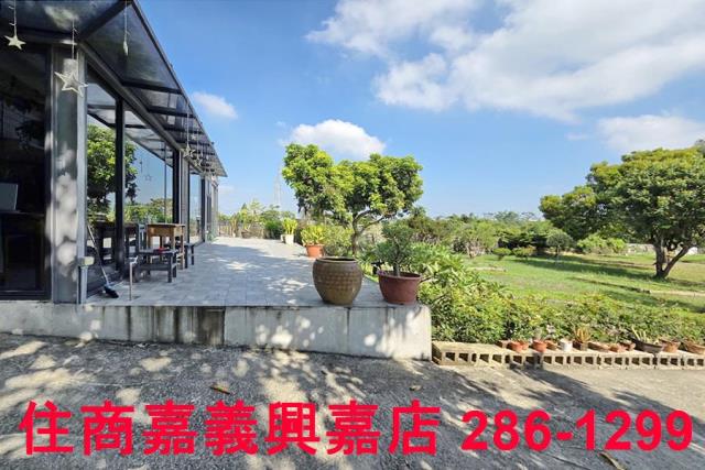 竹崎農地-7