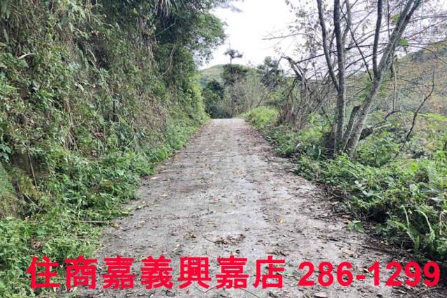嘉義梅山農地-10