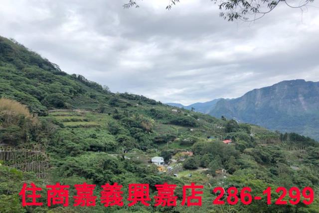 嘉義梅山農地-4