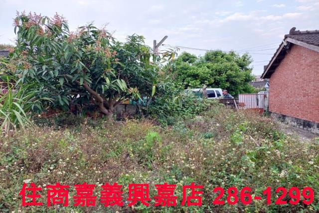 大林建地-4