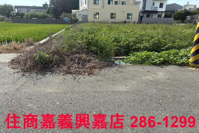 鹿港農地-8