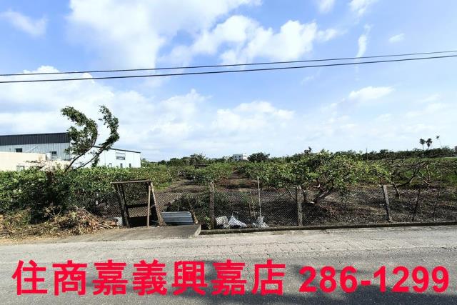 嘉義水上農地-2