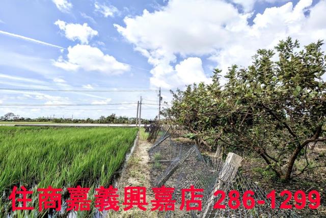 嘉義水上農地-5
