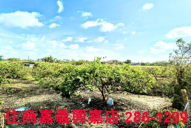 嘉義水上農地-7