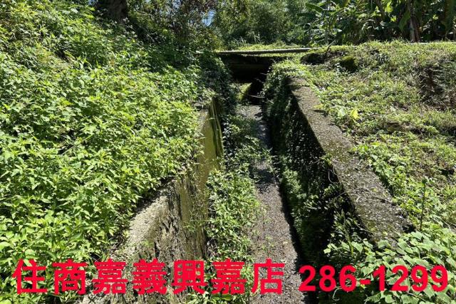番路農地-10