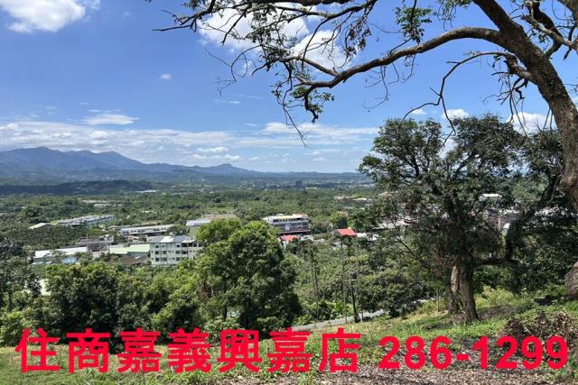 番路農地-11