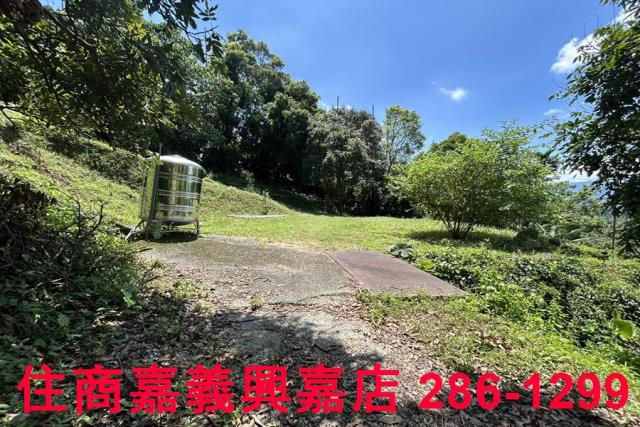 番路農地-4