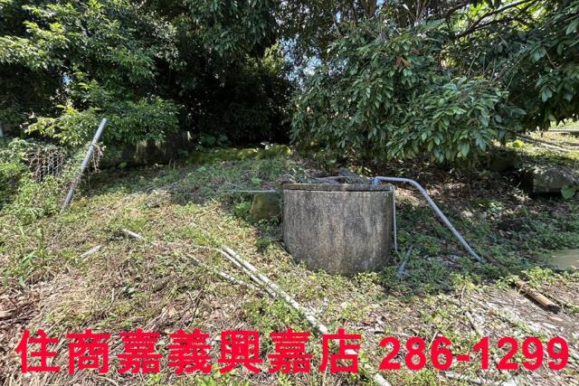番路農地-5
