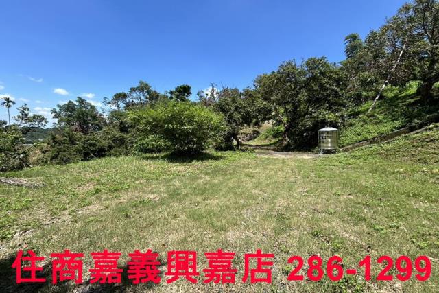 番路農地-6