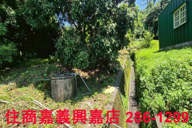 番路農地-8