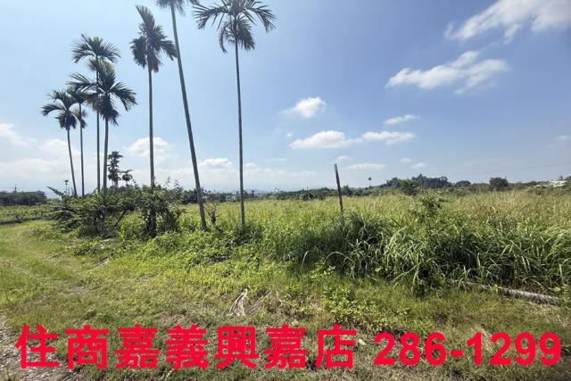 中埔農地-9