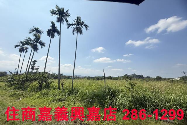 中埔農地-10