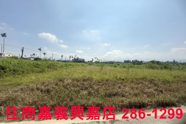 中埔農地-11