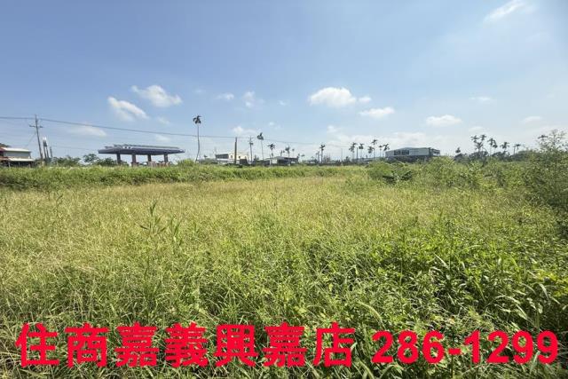 中埔農地-3