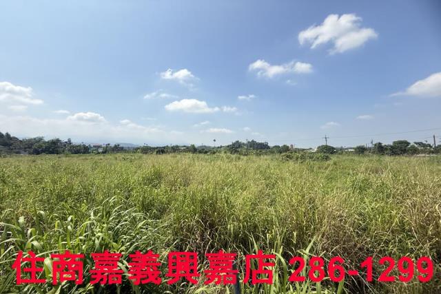 中埔農地-4