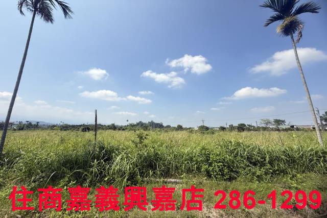 中埔農地-5