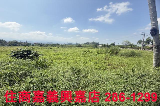 中埔農地-6